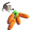 Stuffed Toy Squeak Squeaky Plush Sound Vegetables Feeding Carrot Pet Products Dog Supplies Teath Cleaning Outdoor Fun Training