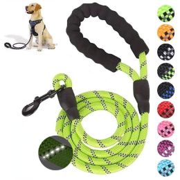 Pet Leash Reflective Strong Dog Leash 1.5M Long with Comfortable Padded Handle Heavy Duty Training Durable Nylon Rope Leashes (Color: Green)