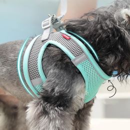 Pet Harness For Dog & Cat; No Pull Breathable Dog Vest Harness For Walking; Anti Escape Dog Harness (Color: Sky Blue)