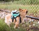 Pet Life 'Dumbone' Dual-Pocketed Compartmental Animated Dog Harness Backpack