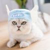 Funny Cat Hat Cartoon Duck Tiger Cosplay Costume Headgear Cute Pets Dog Cap Puppy Kitten Dress Up Accessories